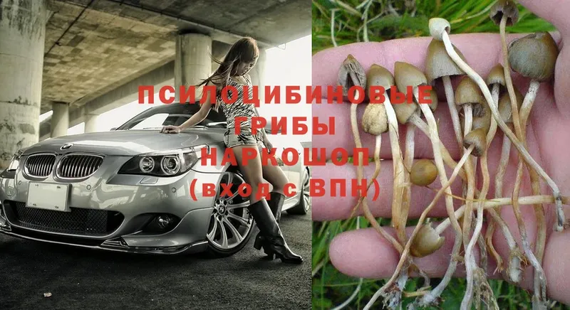 Галлюциногенные грибы Magic Shrooms  купить наркотик  Микунь 